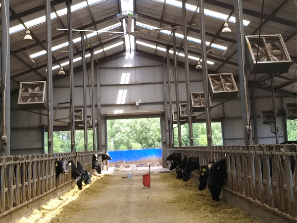 工業(yè)大風(fēng)扇